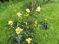 BILD4928.webp