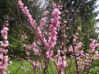 BILD4936.webp