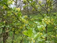 BILD4937.webp