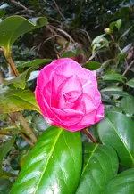 IMG_20160427_192018.webp