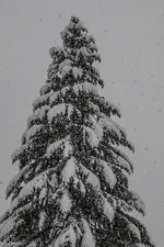 IMG_8321.webp