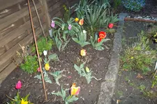 SAM_1100.webp