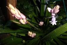 SAM_1101.webp