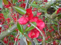 DSC03030.webp