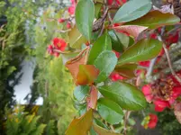 DSC03032.webp