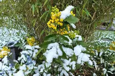 DSCF5720 (2).webp