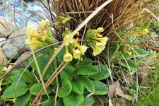 DSCF5710 (2).webp