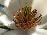 P1000154.webp