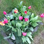 IMG_6292.jpg