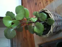 Foto 1.webp