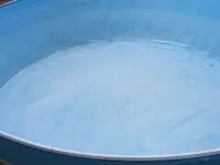 Poolreinigung2.webp
