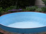 Poolreinigung3.jpg