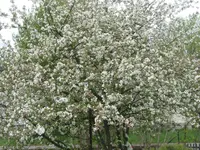 002.webp