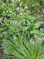 008.webp