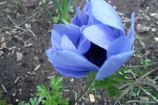SAM_1108.webp