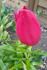 SAM_1110.webp