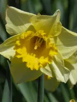 P1000131.webp