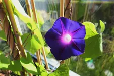 DSCF5732 (2).webp