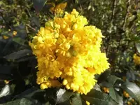 Bilda024.webp