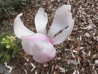 Bilda086.webp