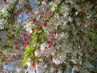 DSC03042.webp