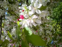 DSC03043.webp