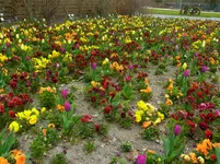 037.webp