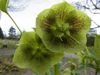 040.webp