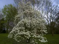 049.webp