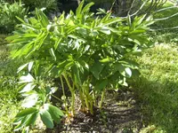 BILD4966.webp BILD4966.webp