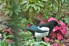 DSCF5730 (2).webp