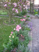 IMG_2792.webp