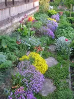 IMG_2794.webp