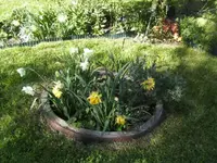 BILD4967.webp