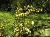 BILD4968.webp