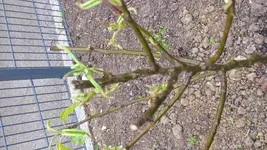 20160501_154310.webp