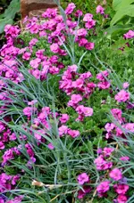 IMG_0453-001.webp
