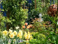 IMG_0438-003.webp