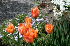 IMG_0430.webp