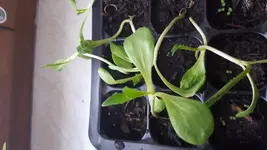 20160501_183513.webp