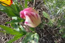 SAM_1130.webp