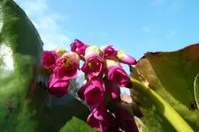 SAM_1139.webp