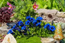 2016-05-01-8077.webp