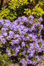 2016-05-01-8080.webp