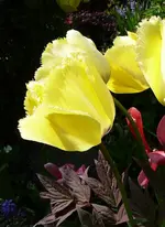 P1110689.webp