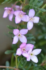DSC_2661x.webp