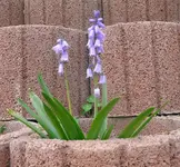 k-P1100314.webp
