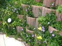 k-P1100317.webp