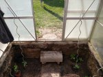 IMG_20160501_162157.jpg