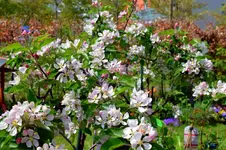 DSC_0149.2.webp